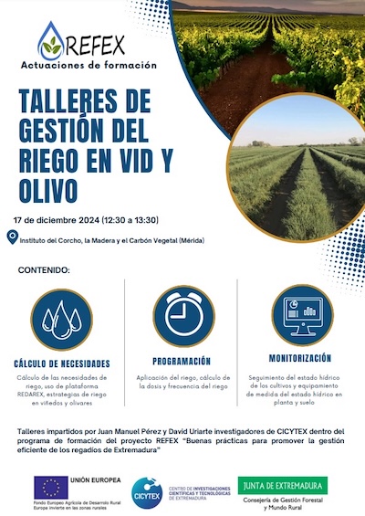 a2%20talleres_olivar_vid_boletin